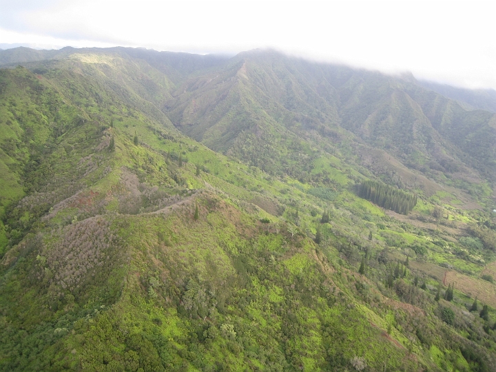 03 Kauai helicopter tour.jpg
